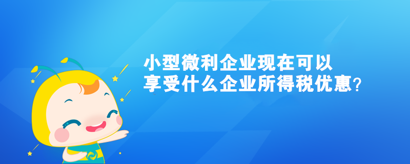 小型微利企業(yè)現(xiàn)在可以享受什么企業(yè)所得稅優(yōu)惠？