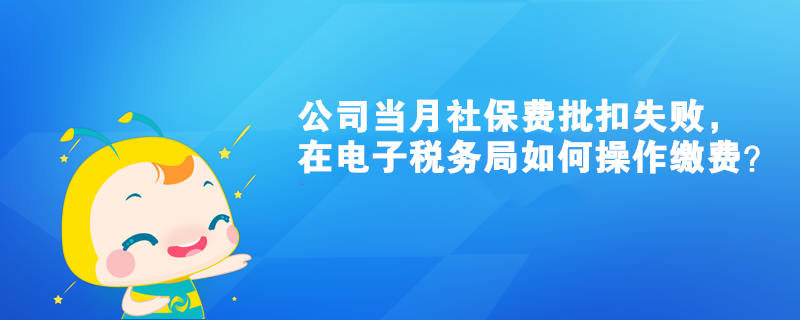 公司當(dāng)月社保費批扣失敗，在電子稅務(wù)局如何操作繳費？