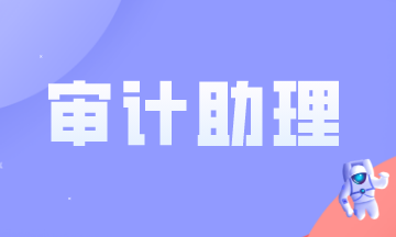 審計(jì)助理做什么？需要滿足什么條件？