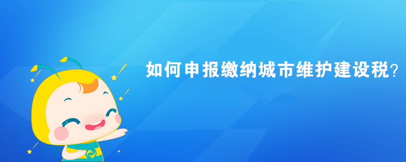 如何申報繳納城市維護(hù)建設(shè)稅？