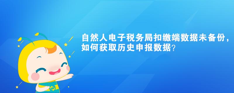 自然人電子稅務局扣繳端數(shù)據(jù)未備份，如何獲取歷史申報數(shù)據(jù)？