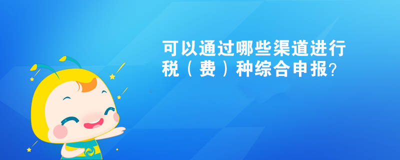 可以通過哪些渠道進行稅（費）種綜合申報？