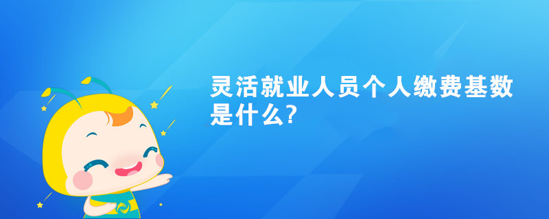 靈活就業(yè)人員個(gè)人繳費(fèi)基數(shù)是什么?