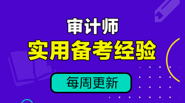 初級審計師知識點連載