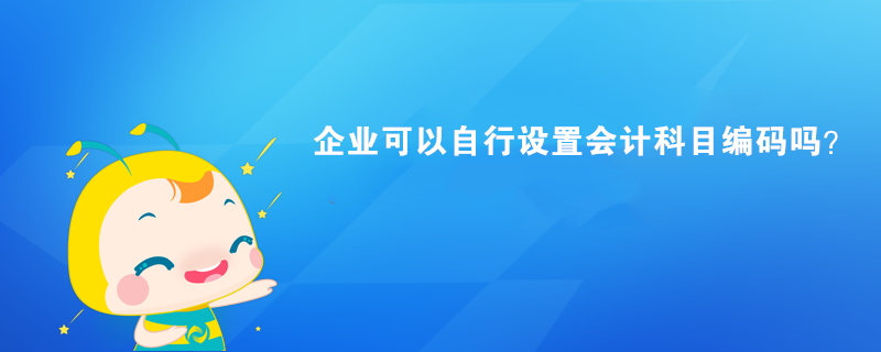 企業(yè)可以自行設(shè)置會(huì)計(jì)科目編碼嗎？