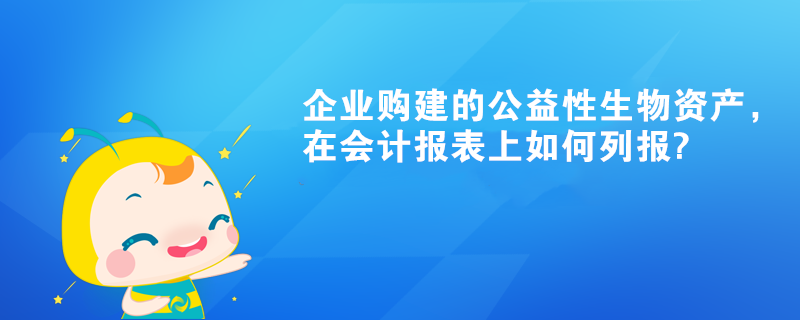 企業(yè)購建的公益性生物資產(chǎn)，在會(huì)計(jì)報(bào)表上如何列報(bào)?