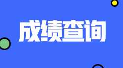 上海2021CPA查分入口開通時間已公布！