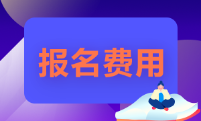 湖南省2022年的初級會計師報名費多少錢？