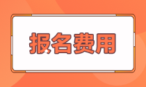 安徽亳州2022年會(huì)計(jì)初級(jí)報(bào)名費(fèi)多少錢？