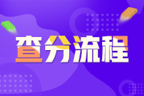 證券從業(yè)資格考試查分流程？