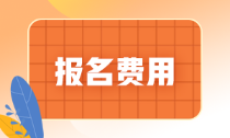 廣東2022年初級會計(jì)報(bào)名費(fèi)多少？