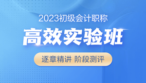 2023初級(jí)會(huì)計(jì)高效實(shí)驗(yàn)班 18大配套習(xí)題 全力備考 購課即學(xué)>