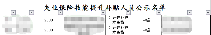 真香警告：拿下中級(jí)會(huì)計(jì)證書(shū)可以領(lǐng)取補(bǔ)貼！