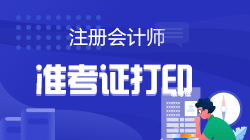 2022年什么時候打印cpa準(zhǔn)考證？