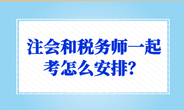 注會和稅務師一起考怎么安排？