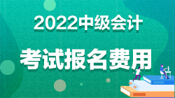 中級會計的報名費用多少錢?