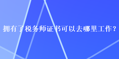 擁有了稅務師證書可以去哪里工作？