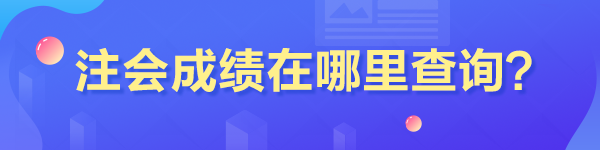 山東省注冊會計(jì)師成績在哪里查??？