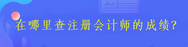 在哪里查注冊會計師的成績？