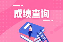 什么時候出注冊會計師考試成績？