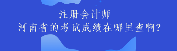 注冊會(huì)計(jì)師河南省的考試成績在哪里查啊？