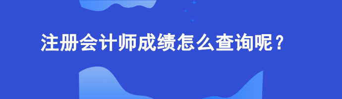 注冊(cè)會(huì)計(jì)師成績(jī)?cè)趺床樵?xún)呢？