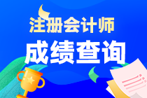 注會(huì)成績(jī)什么時(shí)間查詢？