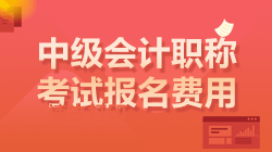 中級(jí)會(huì)計(jì)考試報(bào)名費(fèi)用