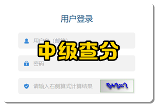 中級(jí)成績(jī)查詢