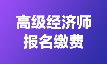 2024年天津高級經(jīng)濟(jì)師報(bào)名費(fèi)用&繳費(fèi)時(shí)間