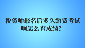 稅務(wù)師報名后多久繳費考試啊怎么查成績？