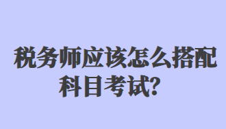 稅務(wù)師應(yīng)該怎么搭配科目考試？