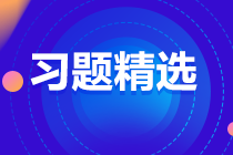 2023中級審計師《審計理論與實務》練習題精選（二十九）