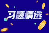 2023初級審計師《審計理論與實務(wù)》練習(xí)題精選（二十七）