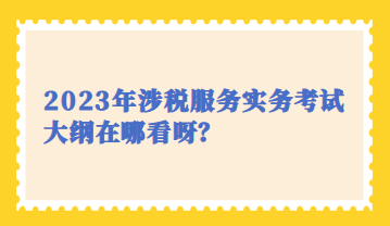 2023年涉稅服務(wù)實務(wù)考試大綱在哪看呀？