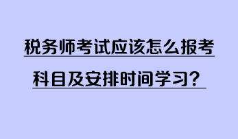 稅務(wù)師考試應(yīng)該怎么報(bào)考科目及安排時(shí)間學(xué)習(xí)？