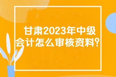 甘肅2023年中級會計怎么審核資料？