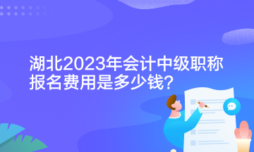 湖北2023年會計中級職稱報名費用是多少錢？