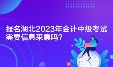 報(bào)名湖北2023年會(huì)計(jì)中級(jí)考試需要信息采集嗎？