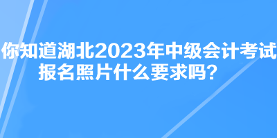 你知道湖北2023年中級會計考試報名照片什么要求嗎？