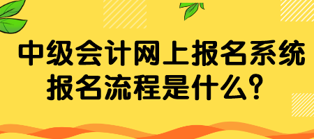 中級(jí)會(huì)計(jì)網(wǎng)上報(bào)名系統(tǒng)報(bào)名流程是什么？