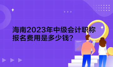 海南2023年中級(jí)會(huì)計(jì)職稱報(bào)名費(fèi)用是多少錢？