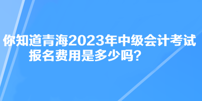 你知道青海2023年中級(jí)會(huì)計(jì)考試報(bào)名費(fèi)用是多少嗎？