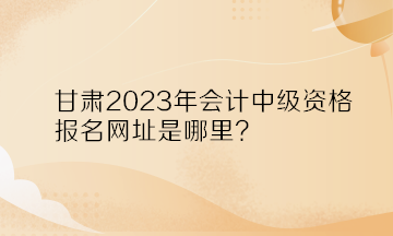 甘肅2023年會(huì)計(jì)中級(jí)資格報(bào)名網(wǎng)址是哪里？