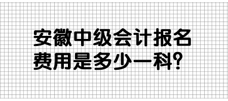 安徽中級(jí)會(huì)計(jì)報(bào)名費(fèi)用是多少一科？