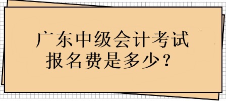 廣東中級(jí)會(huì)計(jì)考試報(bào)名費(fèi)用是多少？