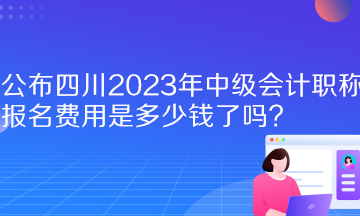  公布四川2023年中級(jí)會(huì)計(jì)職稱報(bào)名費(fèi)用是多少錢(qián)了嗎？