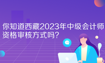 你知道西藏2023年中級(jí)會(huì)計(jì)師資格審核方式嗎？