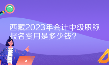 西藏2023年會(huì)計(jì)中級(jí)職稱報(bào)名費(fèi)用是多少錢？