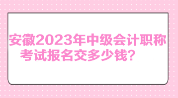 安徽2023年中級(jí)會(huì)計(jì)職稱考試報(bào)名交多少錢？